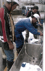 井戸からくみ上げた水をポリタンクに詰める住民たち（勝浦町で）