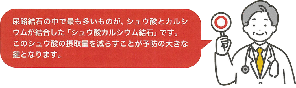 尿路結石の中で最も多いものが、シュウ酸とカルシウムが結合した「シュウ酸カルシウム結石」です。このシュウ酸の摂取量を減らすことが予防の大きな鍵となります。
