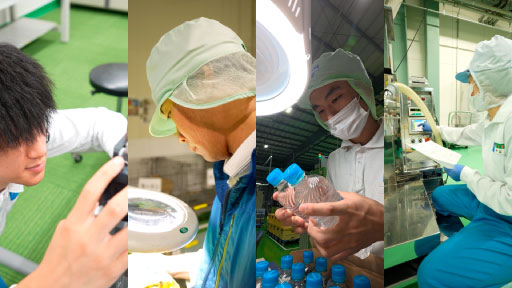 キンキサイン採用情報