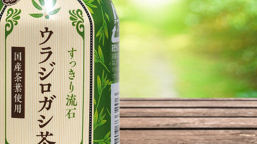 「抑石茶」「流石茶」として知られるウラジロガシ茶